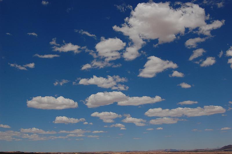 IMAGE-1218.JPG