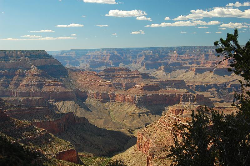 IMAGE-1242.JPG