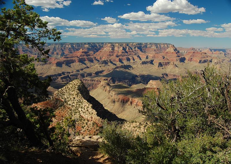IMAGE-1257.JPG