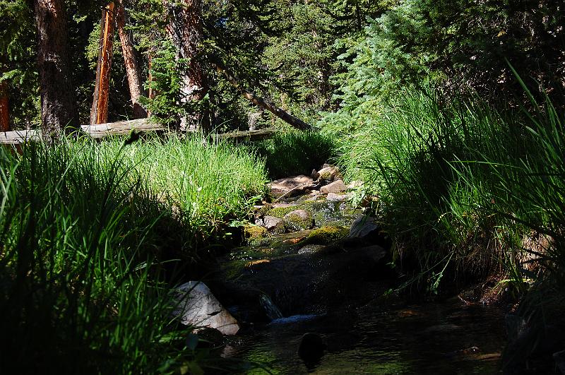 IMAGE-1467.JPG