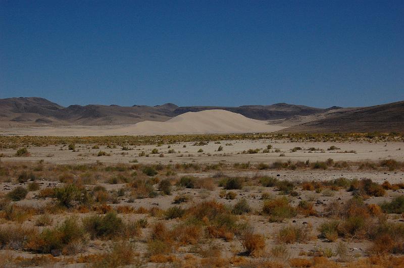 IMAGE-1565.JPG