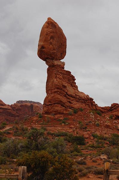IMAGE-174.JPG