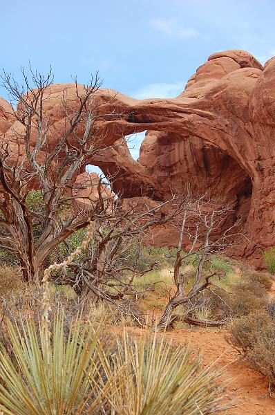 IMAGE-206.JPG