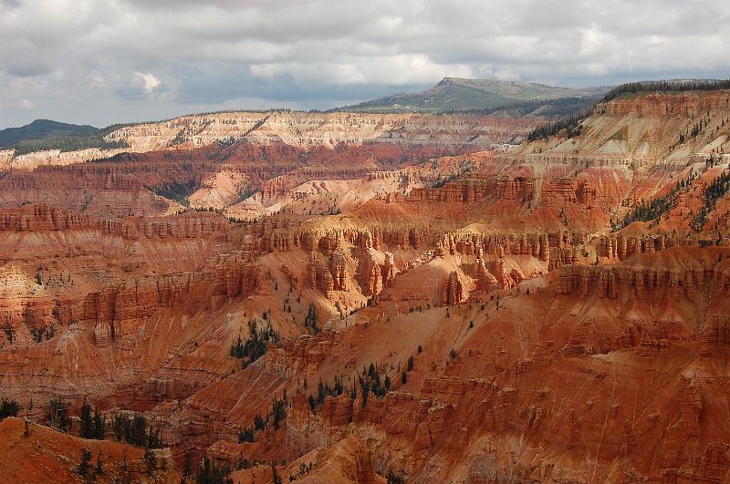 IMAGE-432.JPG