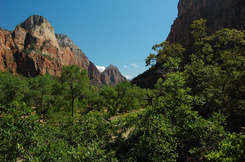 IMAGE-866.JPG