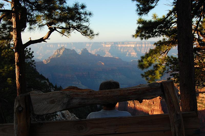 IMAGE-901.JPG