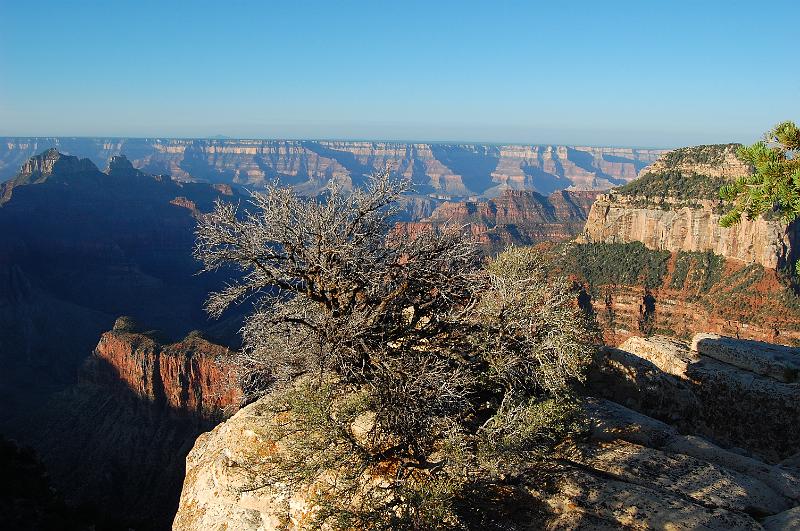 IMAGE-907.JPG