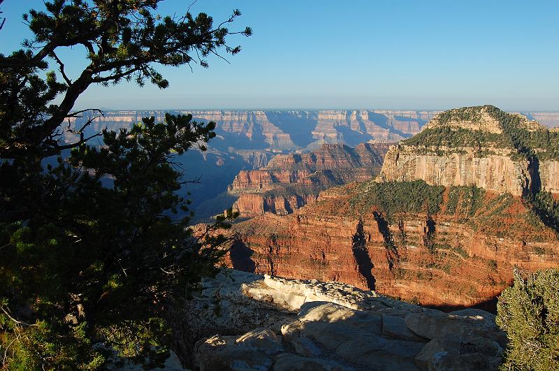 IMAGE-908.JPG