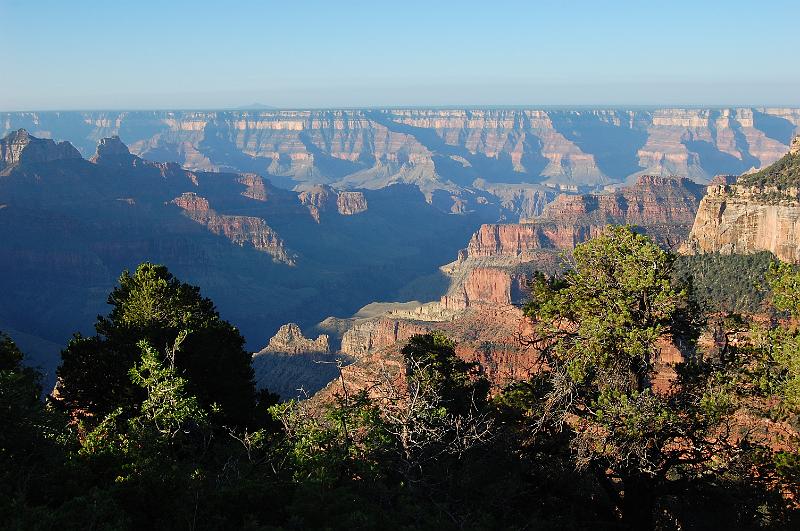 IMAGE-919.JPG