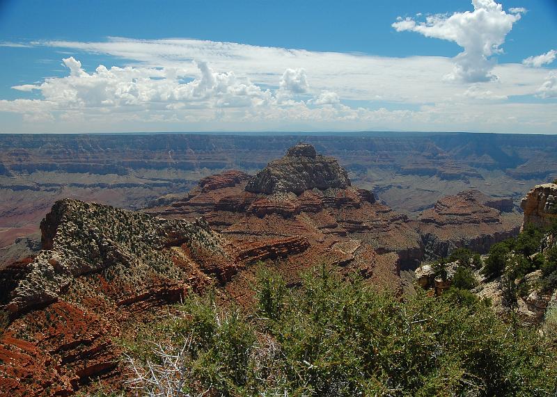 IMAGE-985.JPG