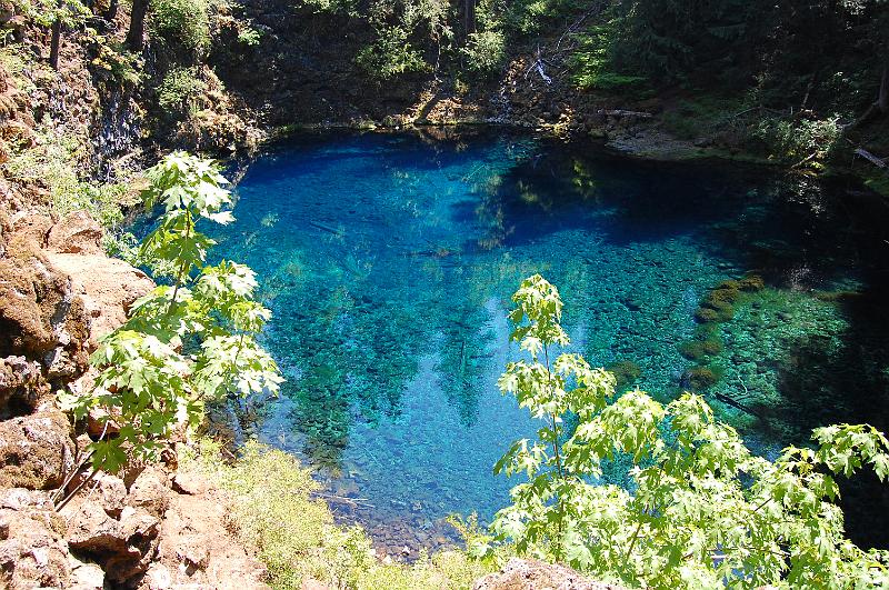 IMAGE-158.JPG - Blue Hole  - McKenzie River