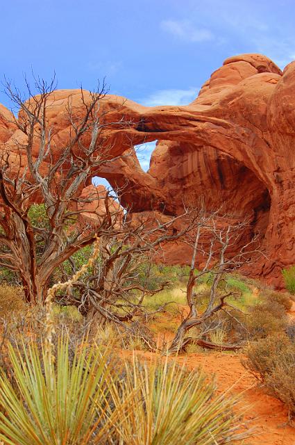 IMAGE-206.JPG - Double Arches