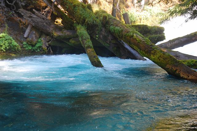 IMAGE-264.JPG - McKenzie River