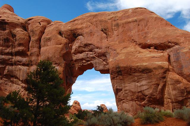 IMAGE-366.JPG - Lone Pine Arch