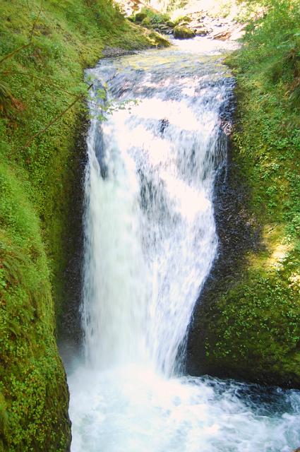 IMAGE-458.JPG - Middle Oneonta Falls
