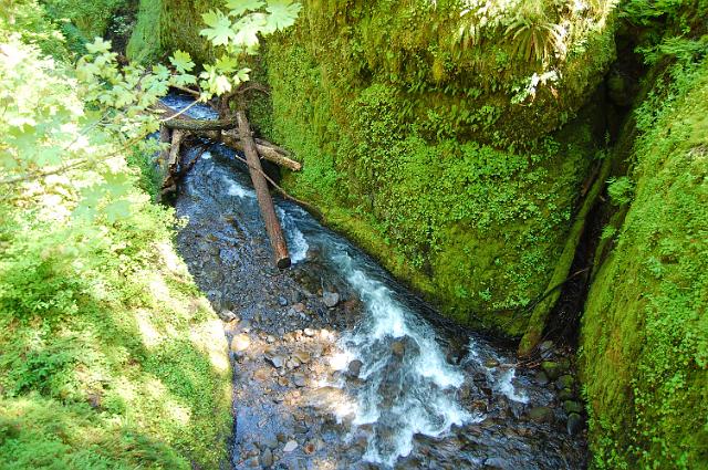 IMAGE-460.JPG - Oneonta Gorge