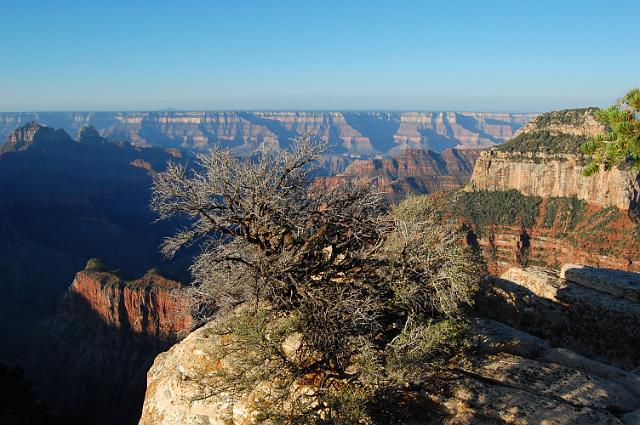IMAGE-907.JPG - Grand Canyon