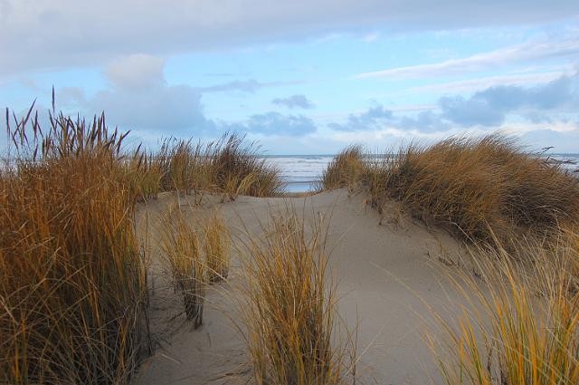 IMG-116.JPG - Bandon Dune