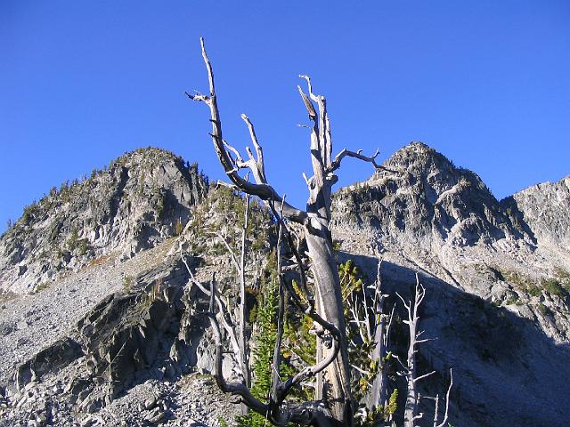 IMG_0105.JPG