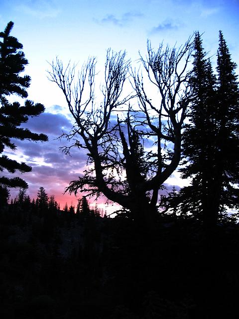IMG_0265.JPG