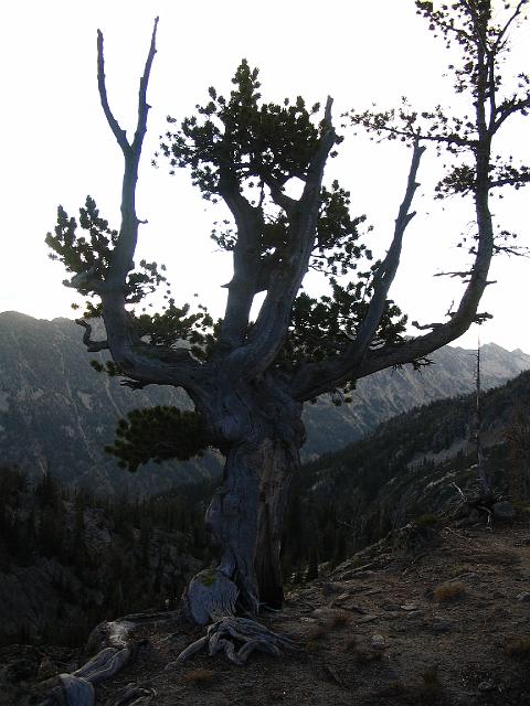 IMG_0267.JPG